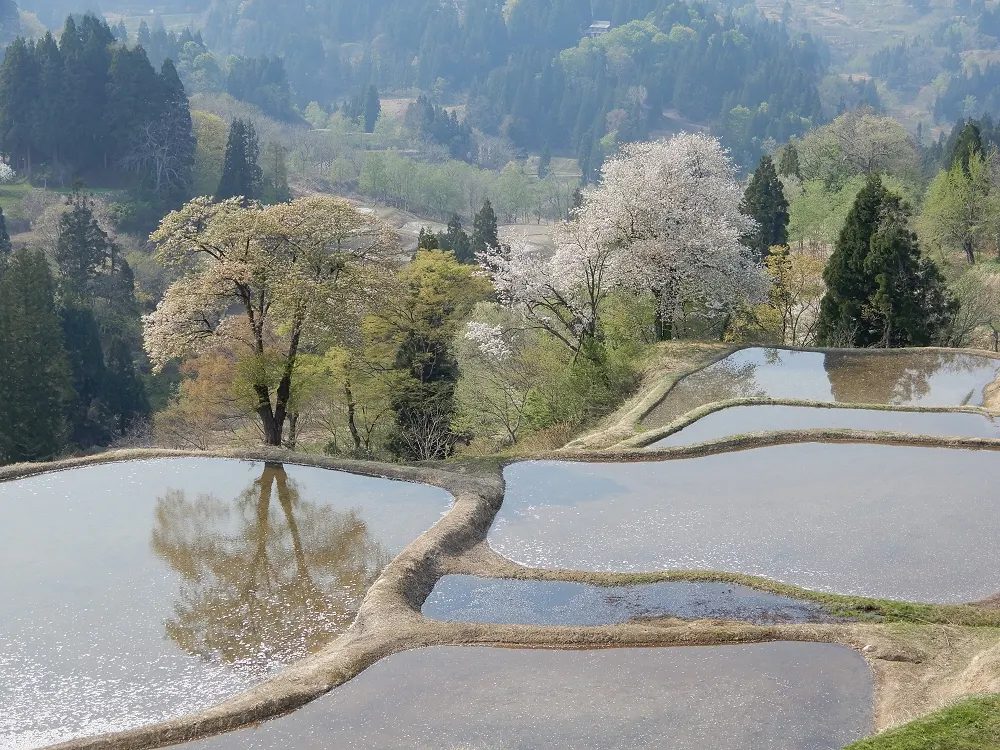 Running in Tokamachi, Japan